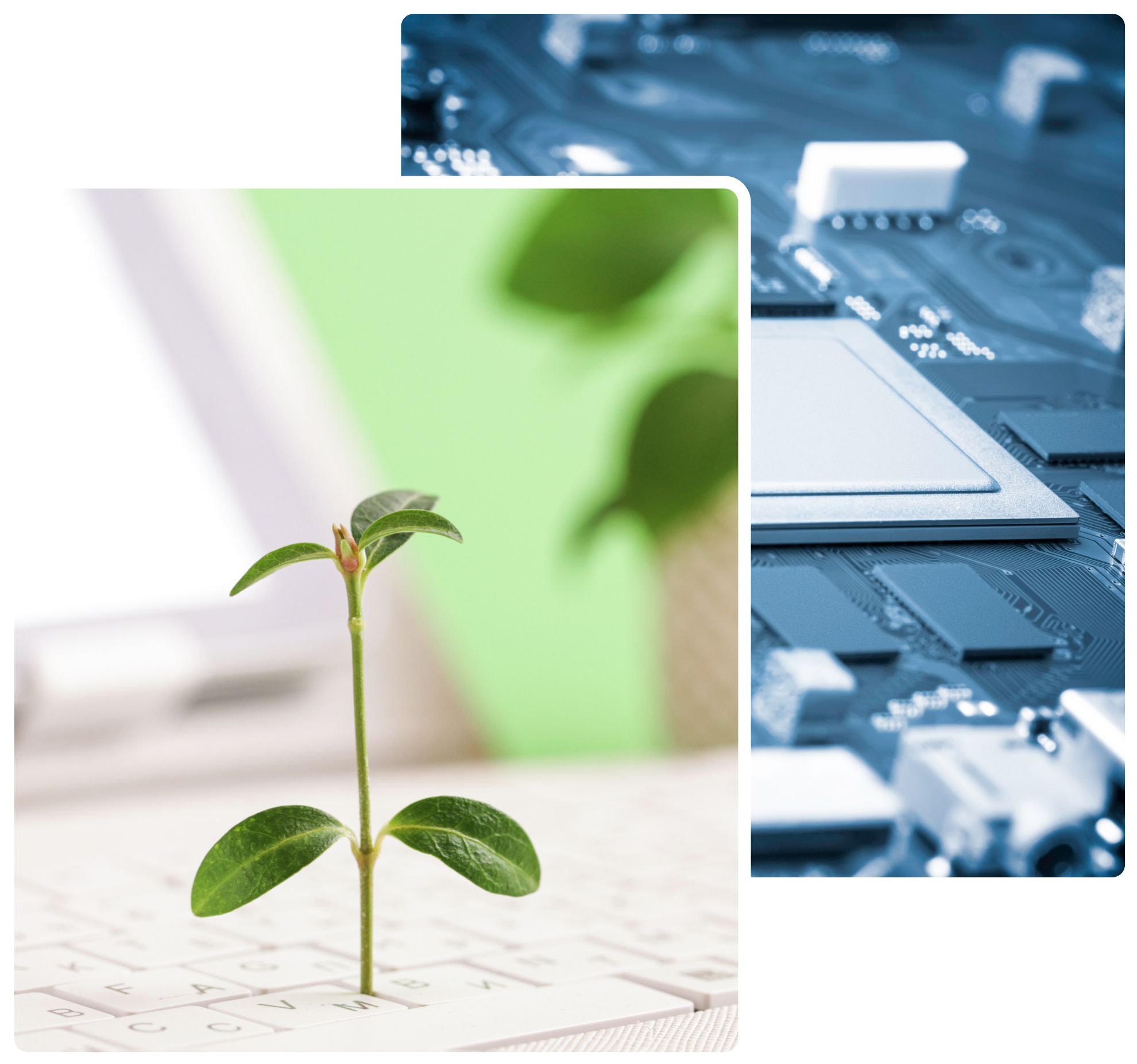Tangent Inc. : ABOUT US